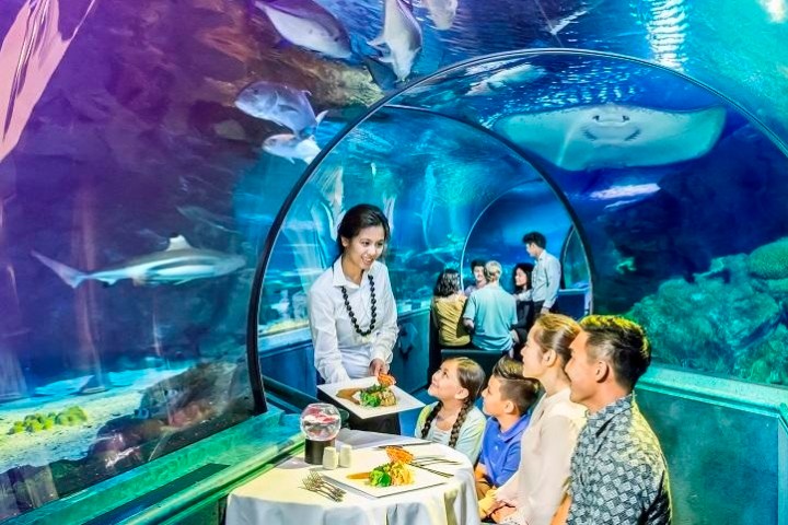 Dining underwater in a special restaurant in Tumon, Guam